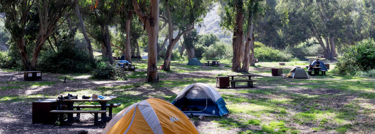 Santa Cruz Island