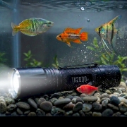 submerged in a fish tank with light on