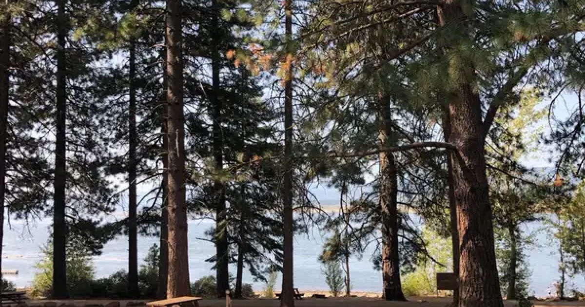 North Shore Campground at Lake Almanor