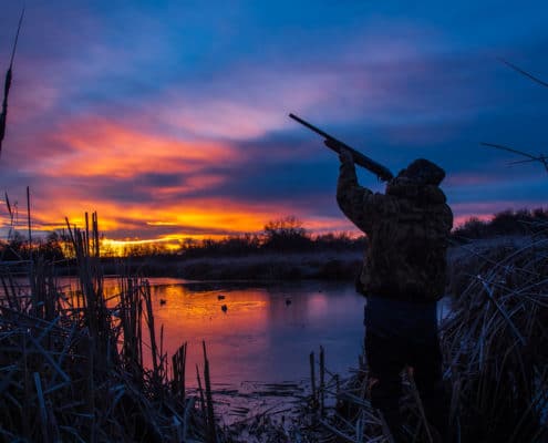 Cree LED Flashlight For Hunting